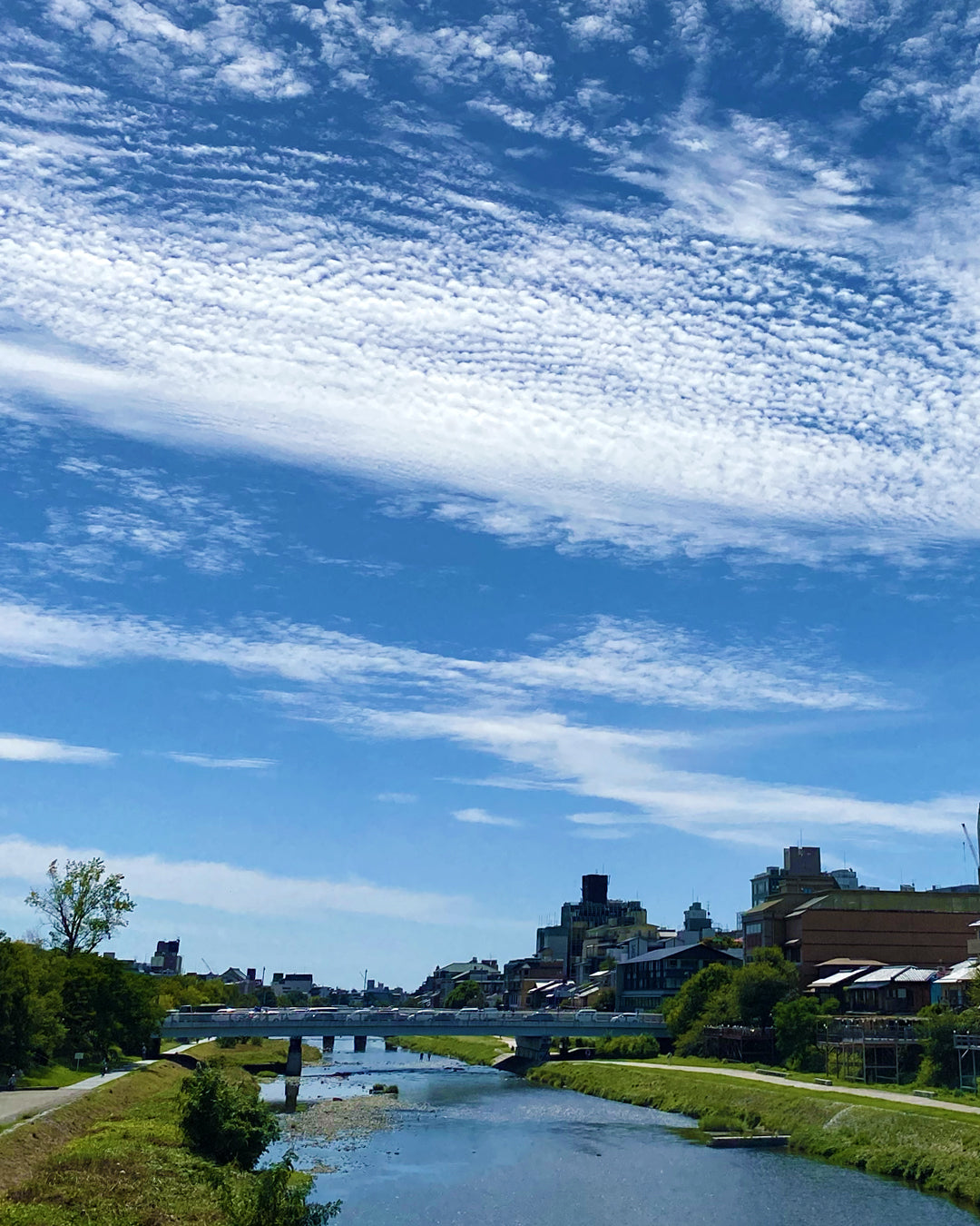 いわし雲のころ