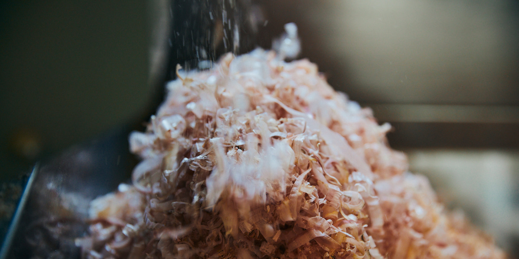 株式会社 森野義