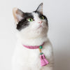 愛猫とお揃いでつけられるアクセサリー ねこのわ 猫用ネックレス（首輪）HEIAN