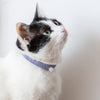 愛猫とお揃いでつけられるアクセサリー ねこのわ 猫用ネックレス（首輪）GINKAKU