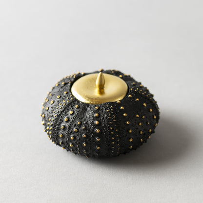 ボンボウニエール ブラック