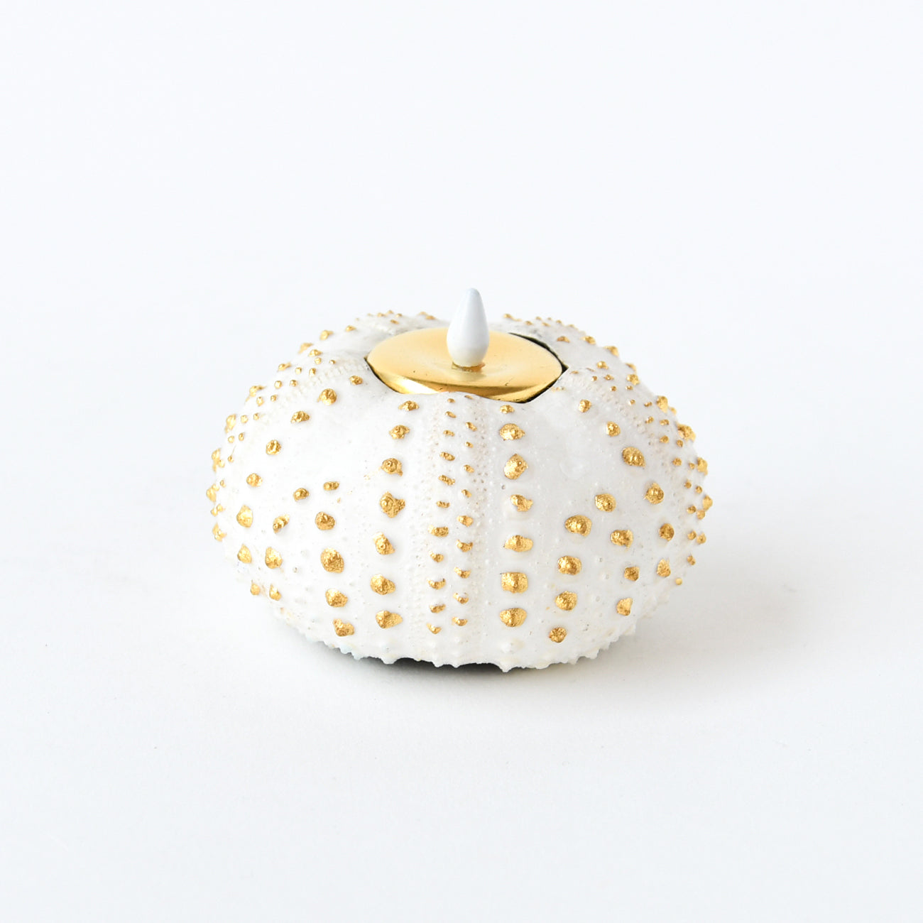 ボンボウニエール / no.3146 – MOCAD ONLINE SHOP