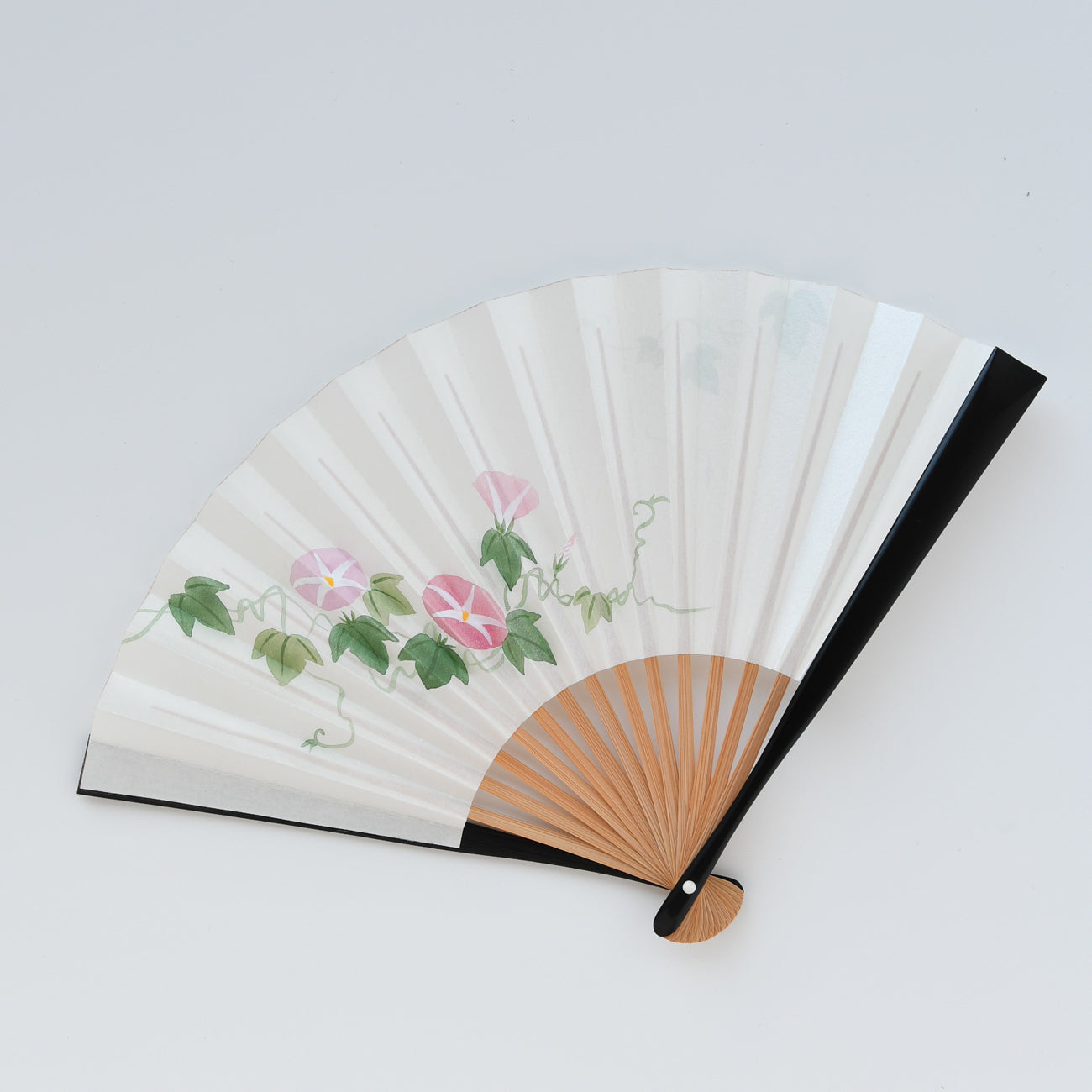 扇子 6寸5分 和装扇 朝顔（黒塗）/ no.3513 | 京都の伝統工芸品の通販