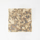 Pin Dots plate (square)/no.1390