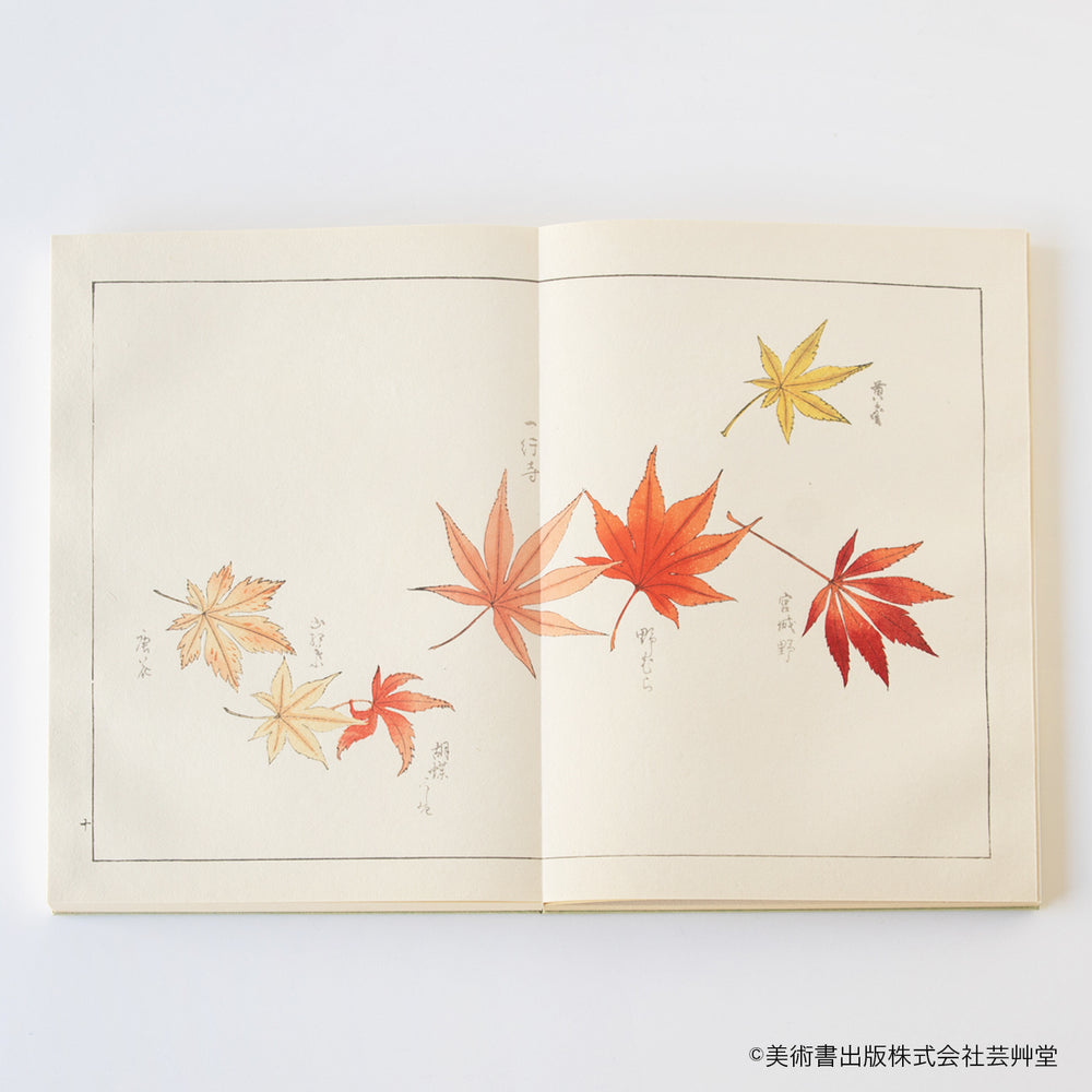 美術書出版株式会社芸艸堂 / UNSODO Corporation | 京都の伝統工芸品の