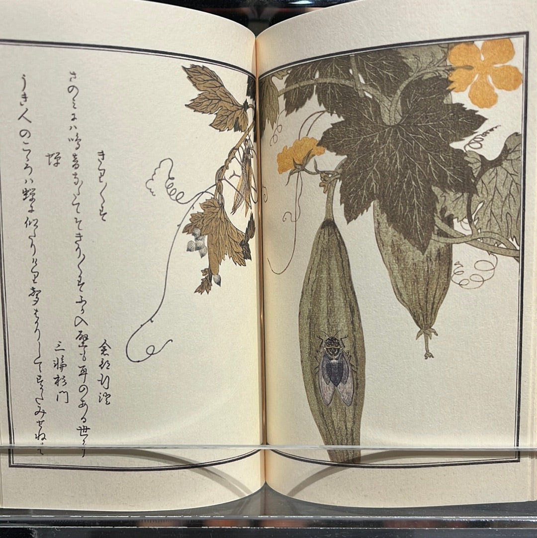 豆本 画本虫撰 喜多川歌麿 著 / no.1840 | 京都の伝統工芸品の通販