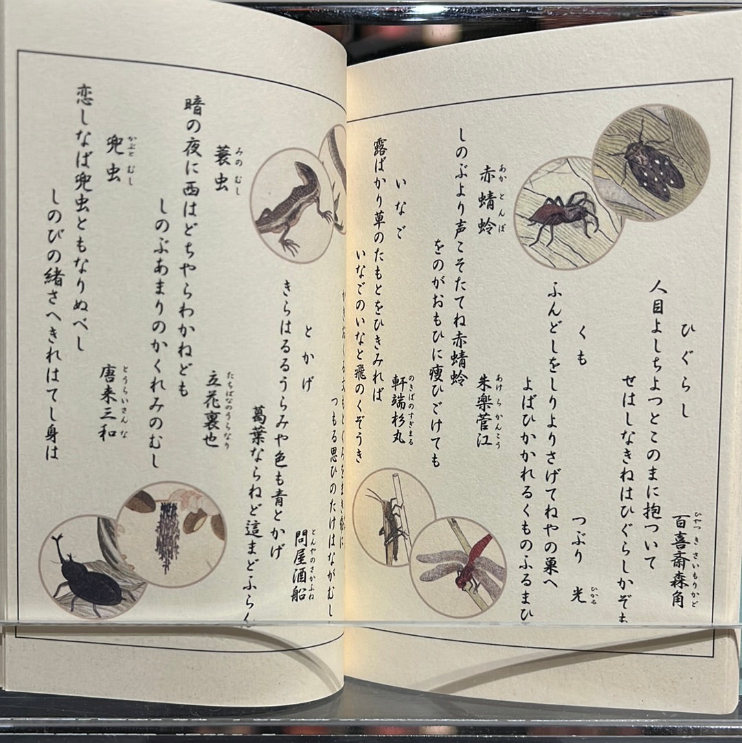 豆本 画本虫撰 喜多川歌麿 著 / no.1840 | 京都の伝統工芸品の通販