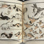 Mamehon Hokusai Manga Hundreds of Flowers and Birds by Katsushika Hokusai / no.1854