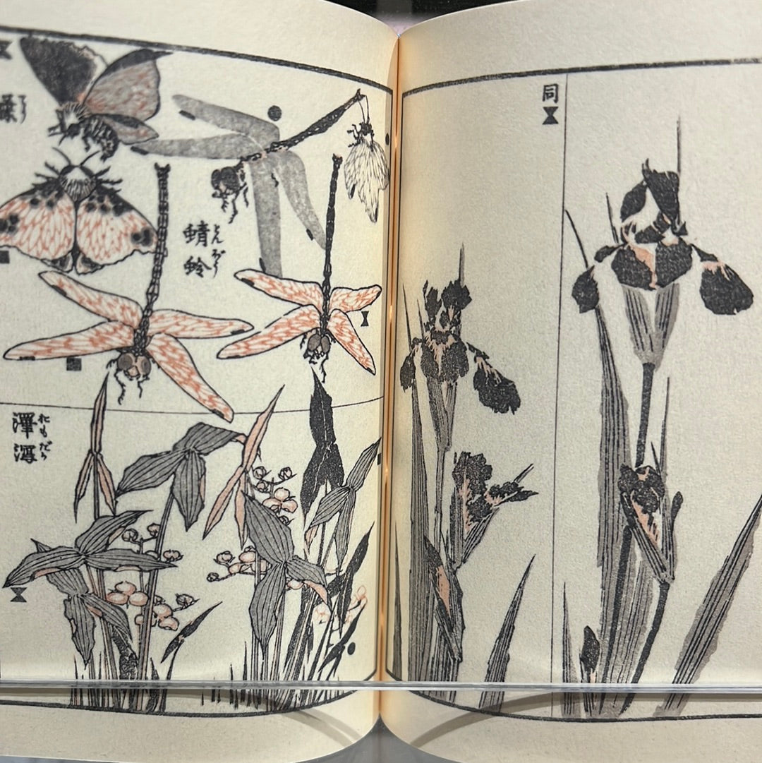 豆本 三体画譜 葛飾北斎 著 / no.1831 | 京都の伝統工芸品の通販サイト