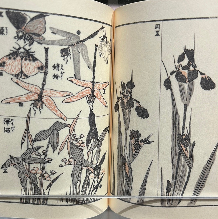 Mamehon Santai Gafu by Katsushika Hokusai / no.1831